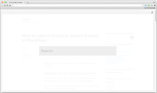 باکس جستجوی تمام صفحه در وردپرس